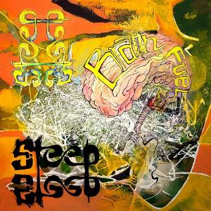 Steep Brain Fuel album cover