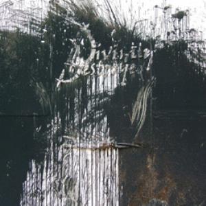 Divinity Destroyed The Plague album cover