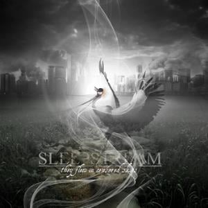 Sleepstream - They Flew in Censored Skies CD (album) cover