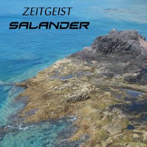 Salander - Zeitgeist CD (album) cover