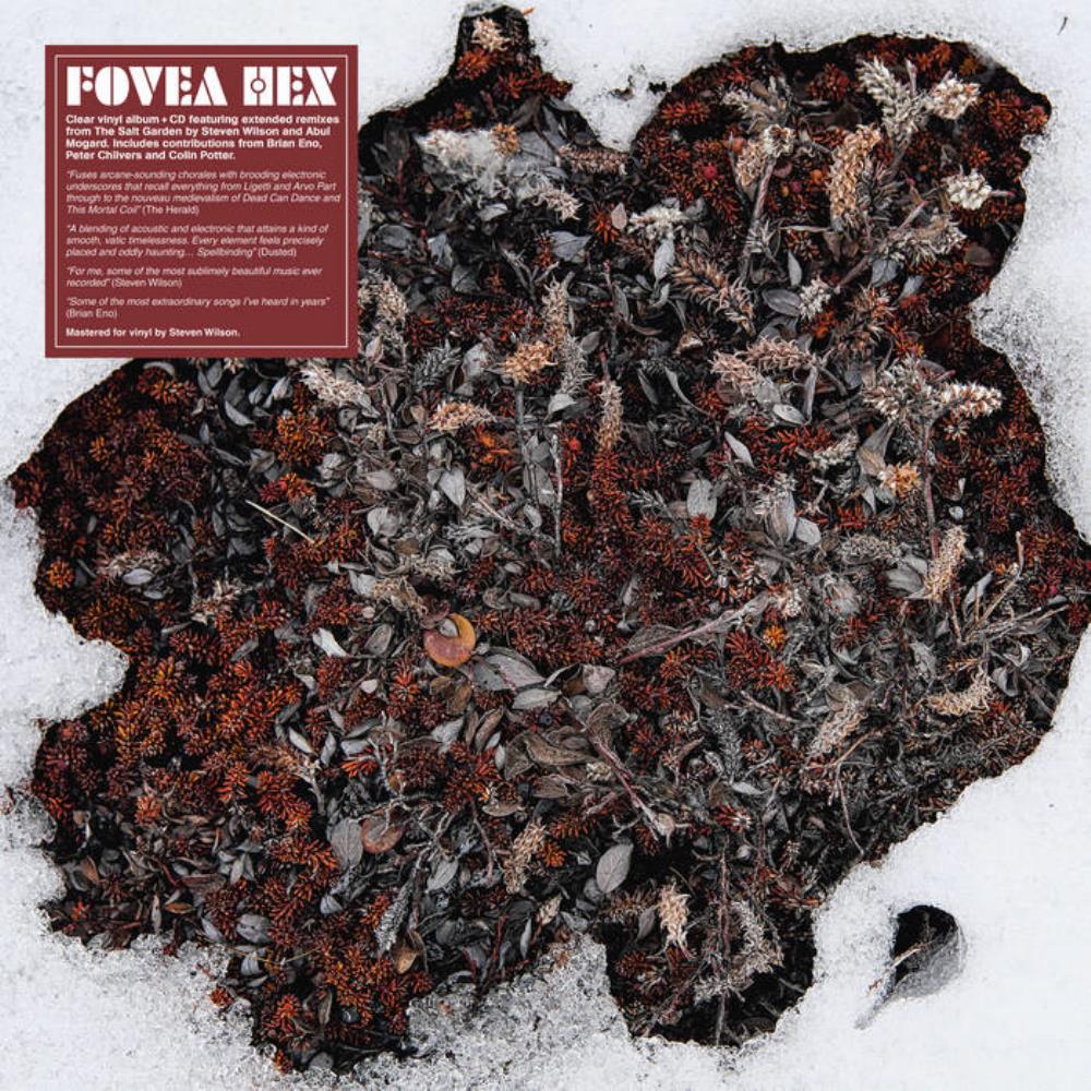Fovea Hex - The Salt Garden (Landscaped) CD (album) cover