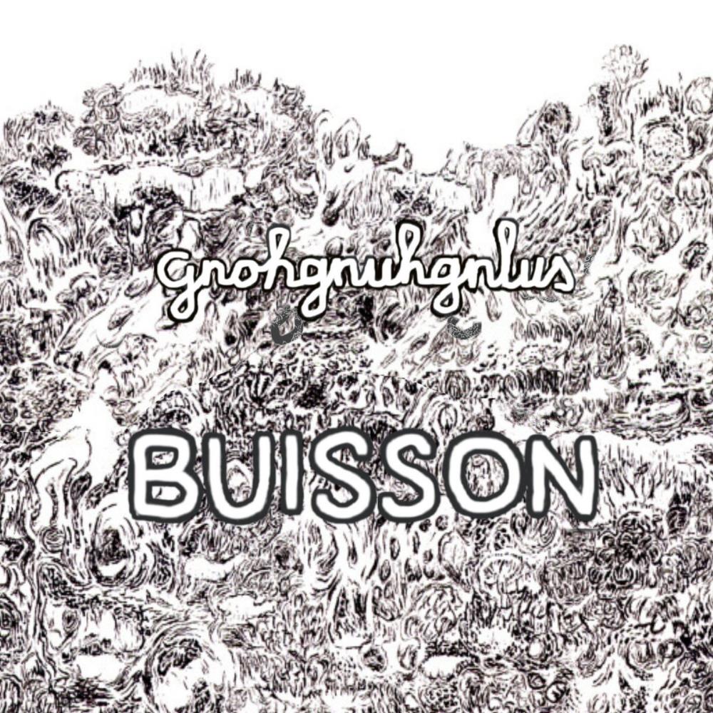 Gnohgnuhgnlus / ex Dolulus Buisson album cover