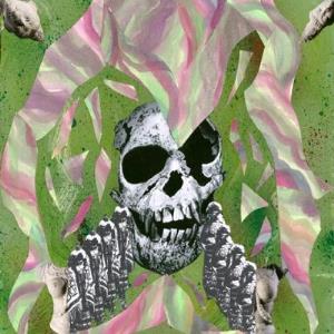 Bear Bones Lay Low - Djid Hums CD (album) cover