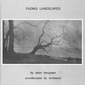 Lambwool  Fading Landscapes  album cover