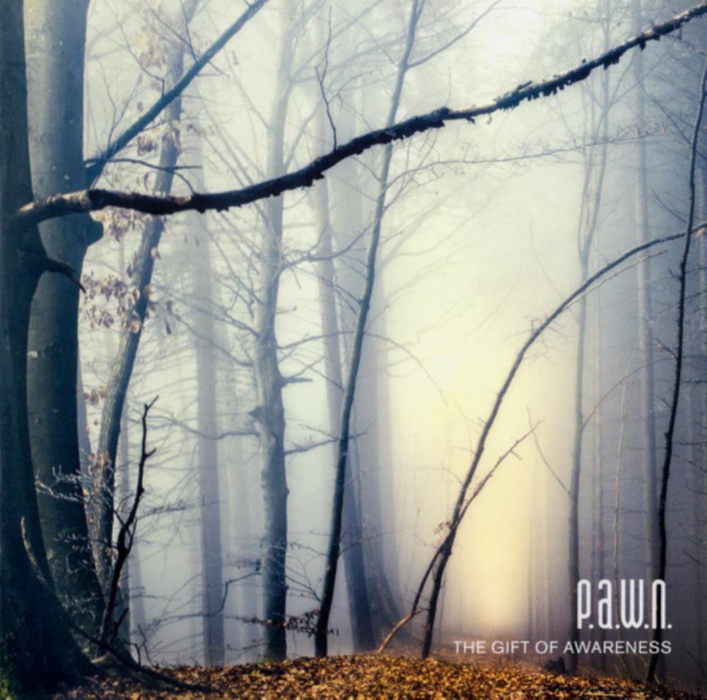 P.A.W.N. - The Gift Of Awareness CD (album) cover