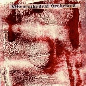 Vibracathedral Orchestra Hollin album cover
