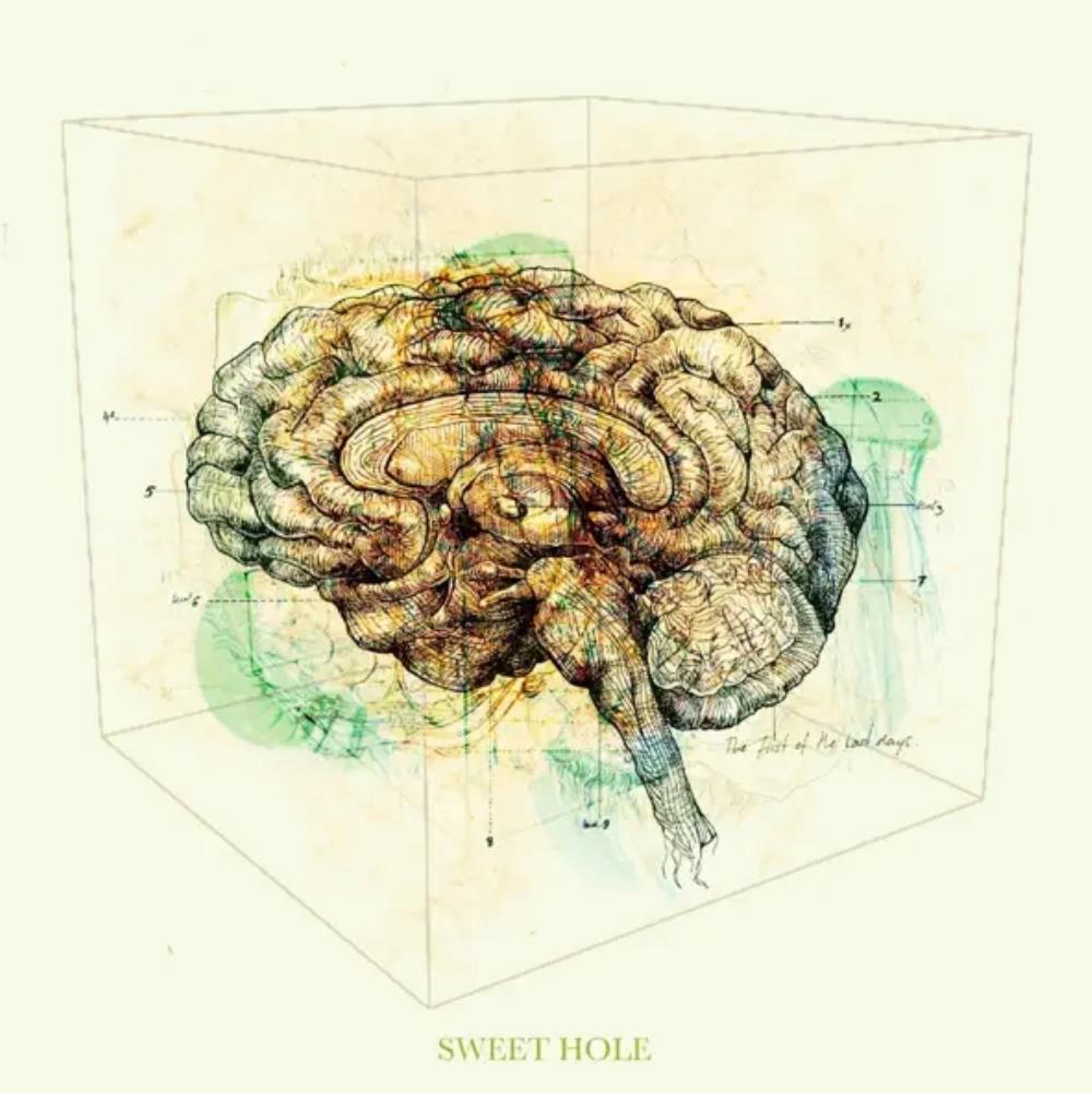 Sweet Hole The First of the Last Days album cover