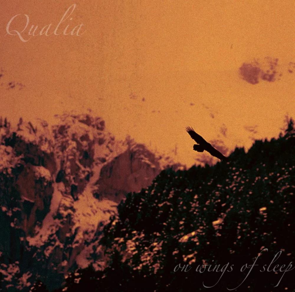 Qualia On Wings Of Sleep album cover