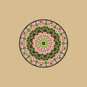 Qualia Kaleidoscopes album cover