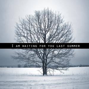 I Am Waiting For You Last Summer - I Am Waiting For You Last Summer CD (album) cover