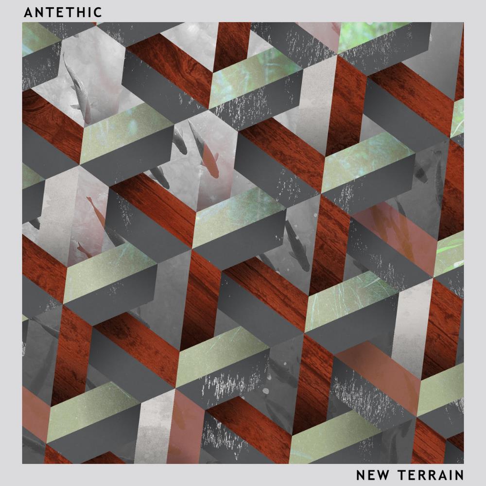 Antethic New Terrain album cover