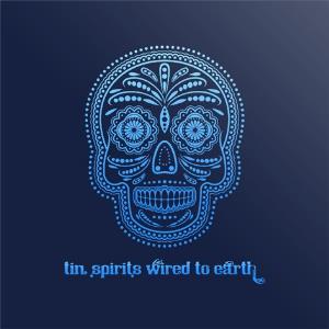 Tin Spirits - Wired to Earth CD (album) cover
