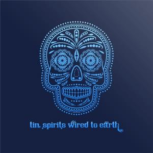 Tin Spirits Wired to Earth album cover