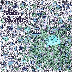 Slim Charles - Small Improvements in Life and in Light CD (album) cover