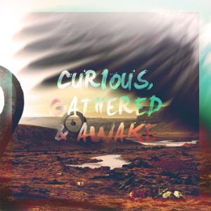 The Beauty The World Makes Us Hope For Curious, Gathered & Awake album cover