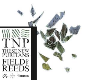 These New Puritans - Field of Reeds CD (album) cover