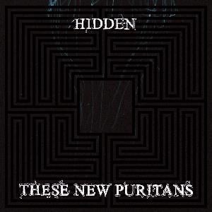 These New Puritans Hidden album cover