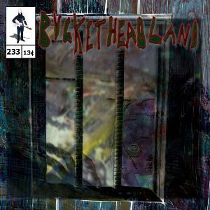 Buckethead 22222222 album cover