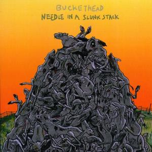 Buckethead - Needle in a Slunk Stack CD (album) cover