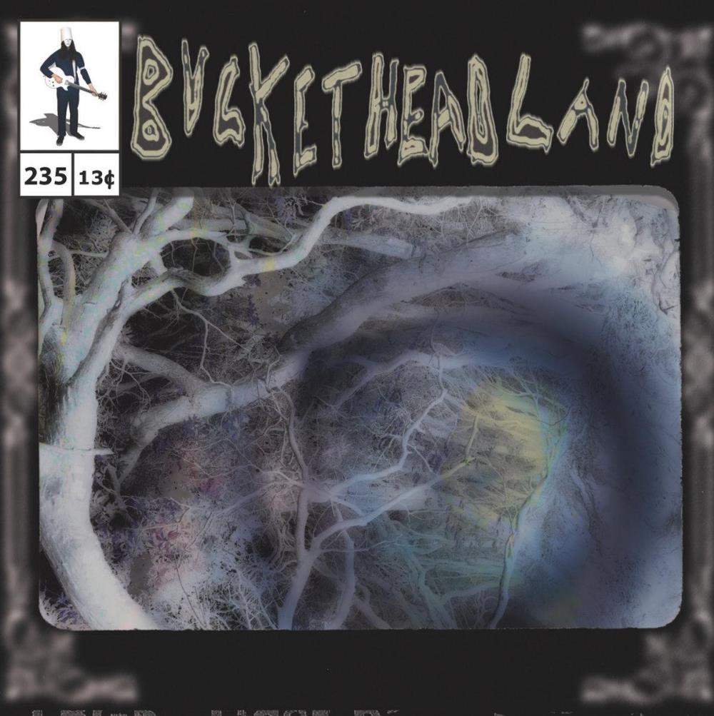 Buckethead - Pike 235 - Oneiric Pool CD (album) cover
