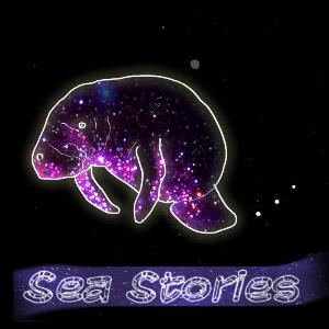 Ben Levin Group Ben Levin: Sea Stories album cover