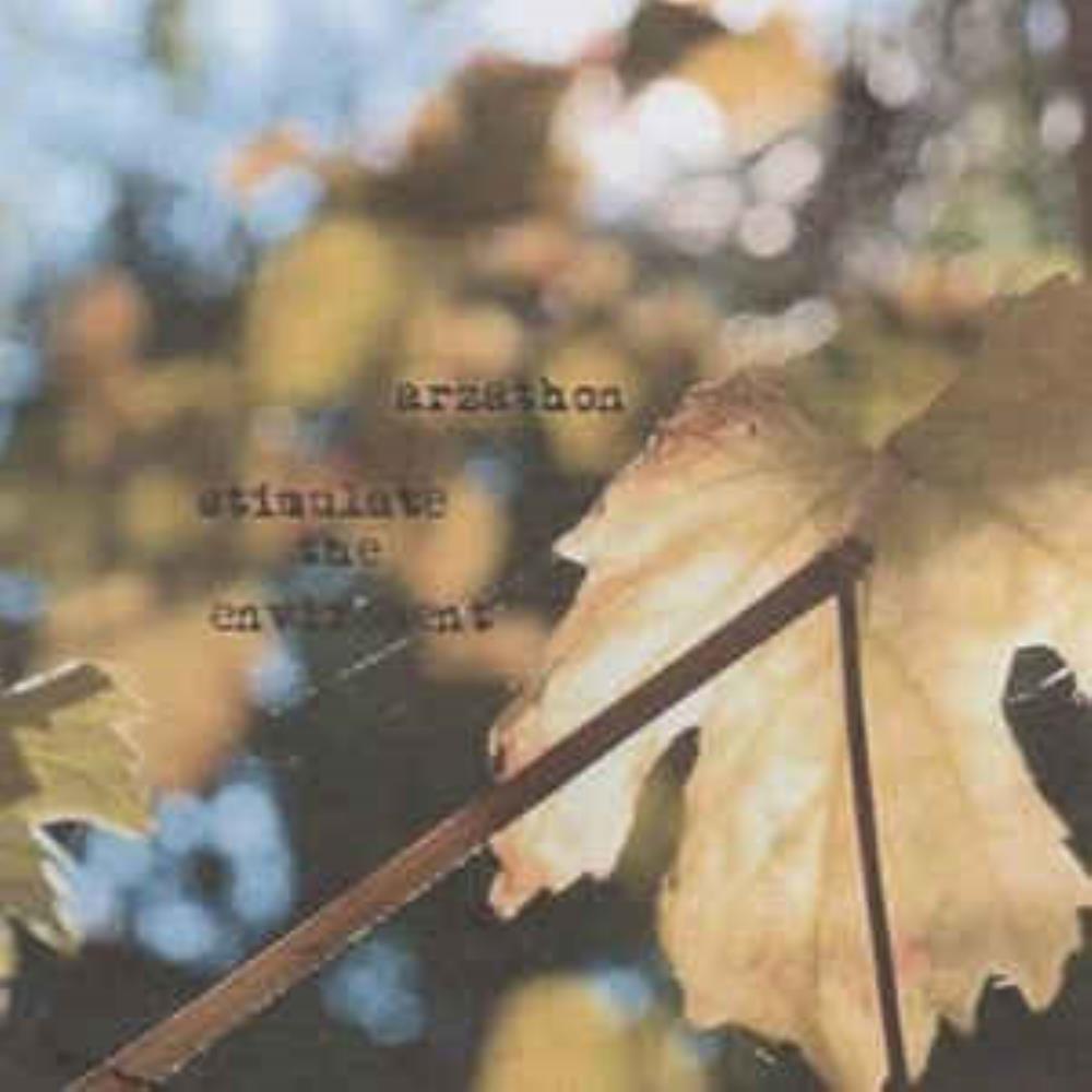 Arzathon - Stimulate the Enviroment CD (album) cover