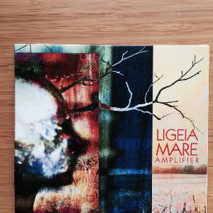 Ligeia Mare - Amplifier CD (album) cover