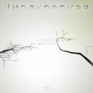  At The Height Of The Trees by CIOLKOWSKA album cover