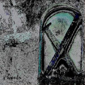 Newspaperflyhunting 3 Words album cover