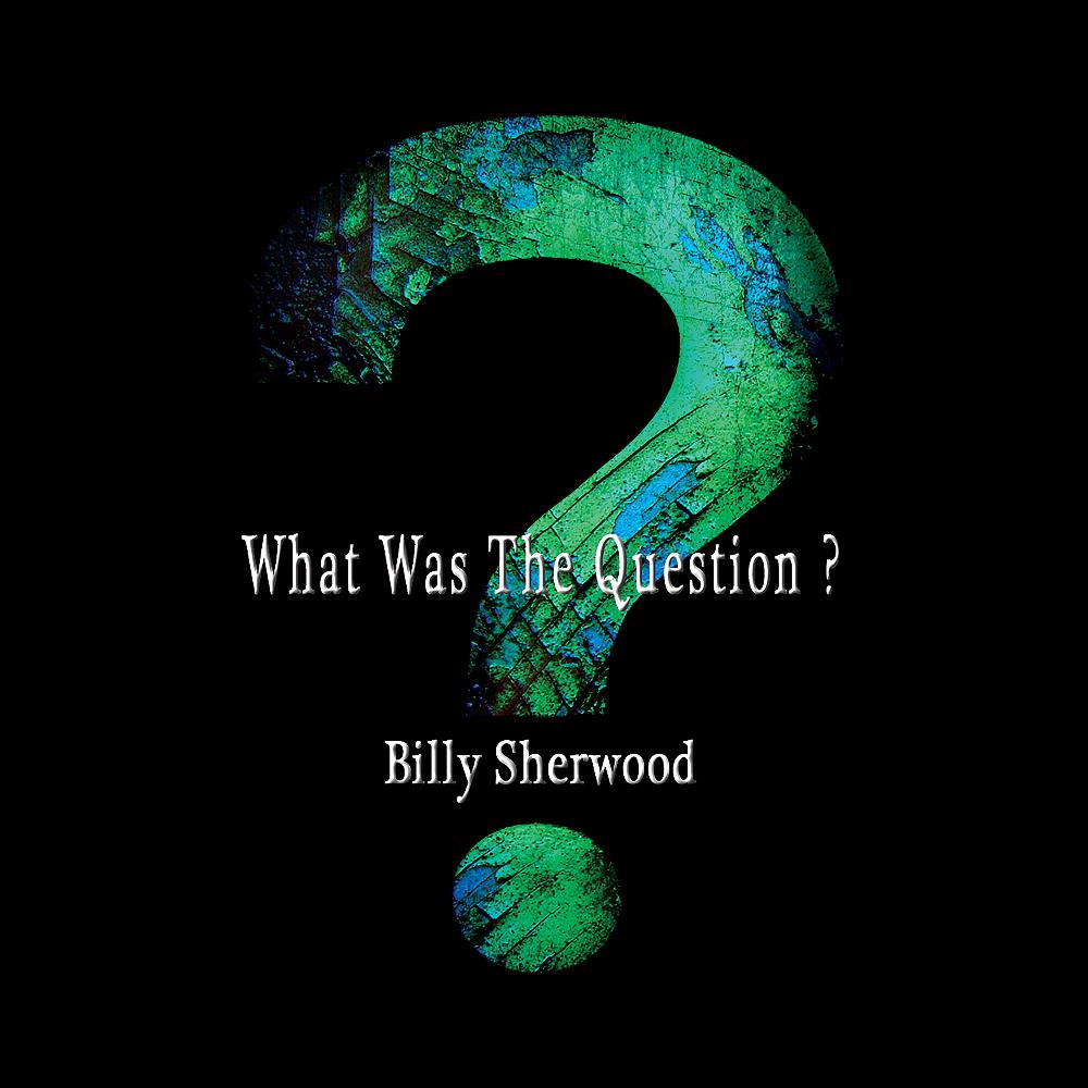 Billy Sherwood What Was The Question ? album cover