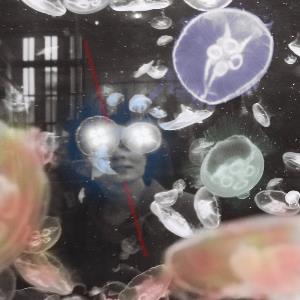 [bleu] Clara Altantsegtseg album cover