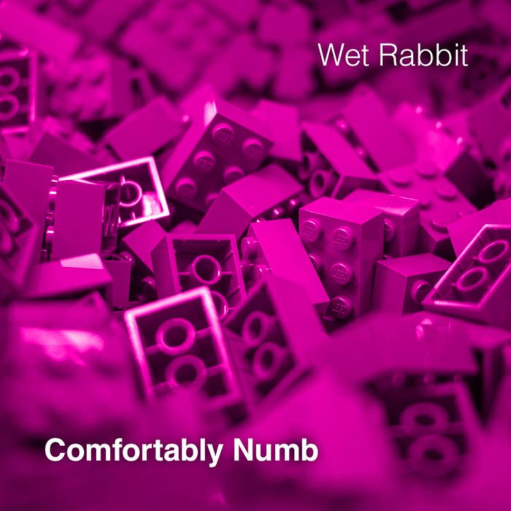 Wet Rabbit - Comfortably Numb CD (album) cover