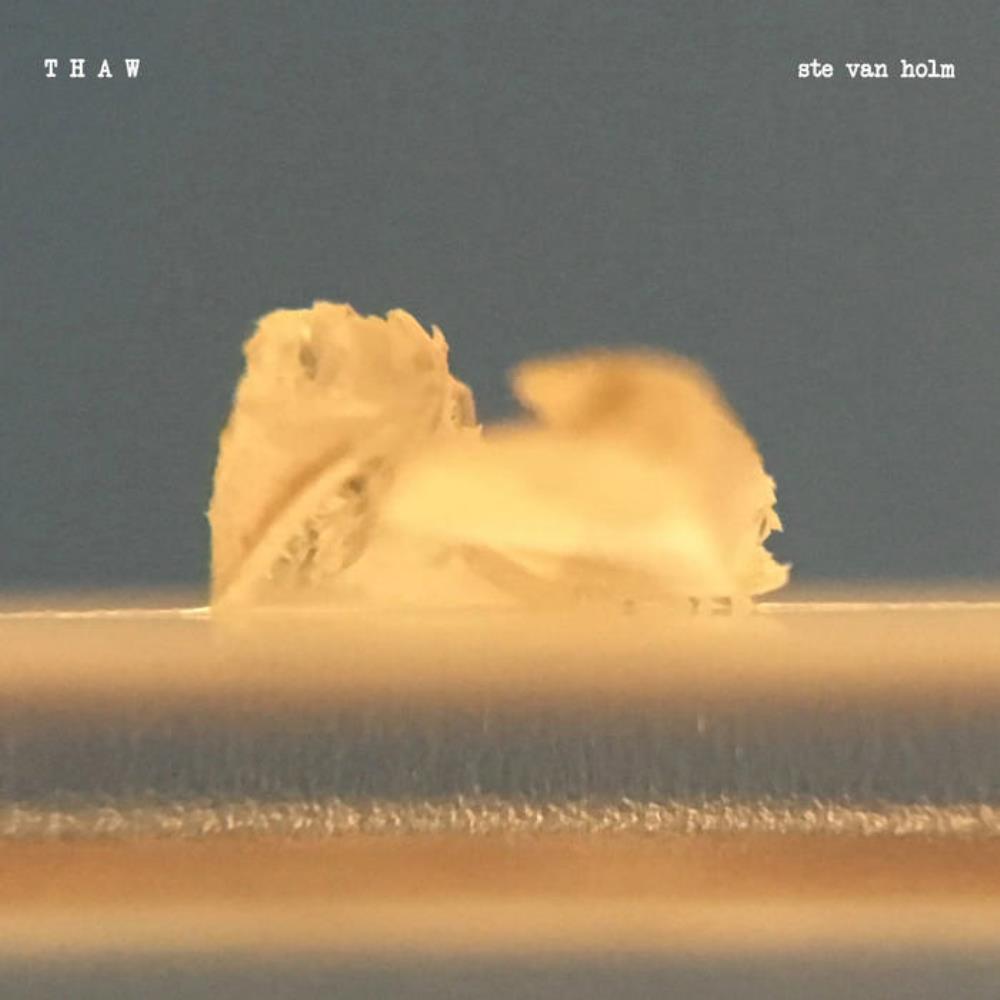 Ste van Holm - Thaw CD (album) cover