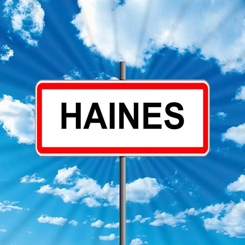 Pierre Vervloesem Haines album cover