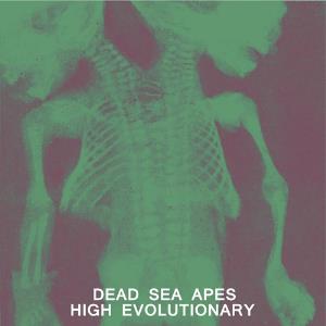 Dead Sea Apes - High Evolutionary CD (album) cover