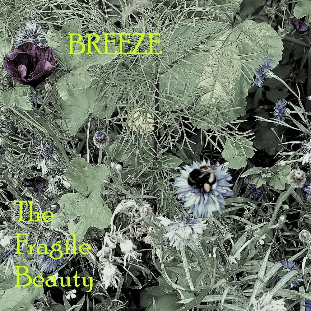 Breeze - The Fragile Beauty CD (album) cover