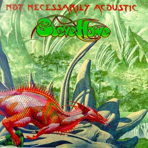 Steve Howe Not Necessarily Acoustic album cover