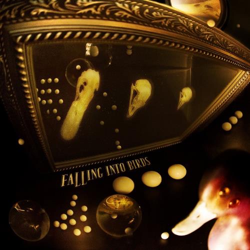 Falling Into Birds Falling Into Birds album cover