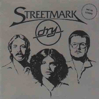 Streetmark Dry album cover