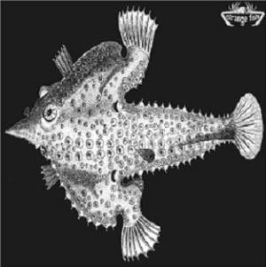 Various Artists (Concept albums & Themed compilations) - Strange Fish Four CD (album) cover