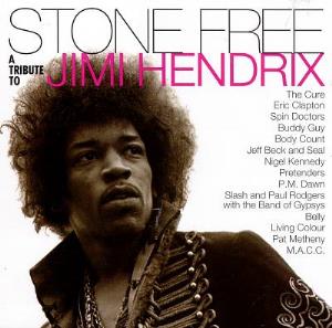 Various Artists (Tributes) Stone Free: A Tribute to Jimi Hendrix album cover