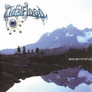 Tidal Flood Scientific album cover