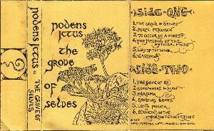 Nodens Ictus The Grove Of Selves album cover