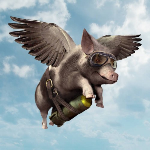 FLYINGPIG forum's avatar