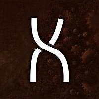 SPIRAL KEN forum's avatar