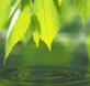 RAINMAN forum's avatar