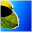 GEEMPIE forum's avatar