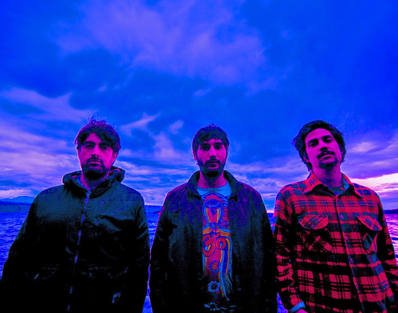 Invernadero picture