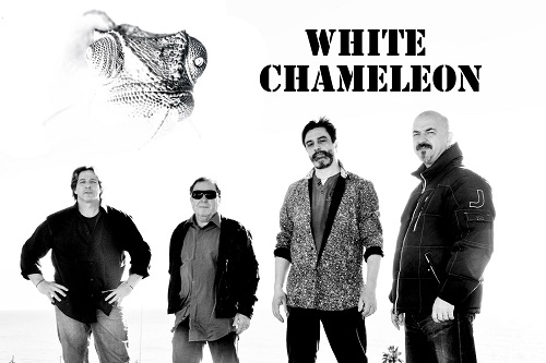White Chameleon picture