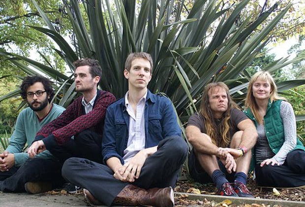 Shearwater picture